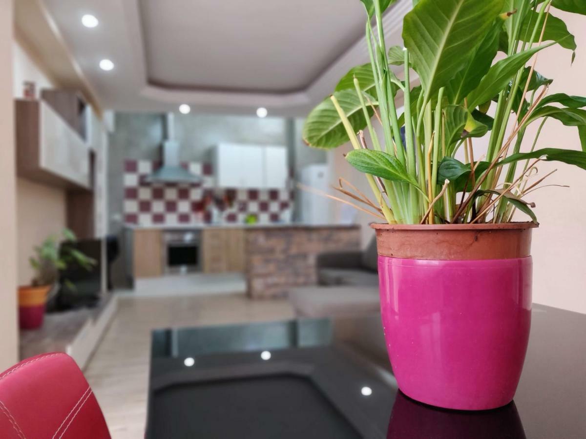 Cactus Los Cristianos Villa Los Cristianos  Dış mekan fotoğraf
