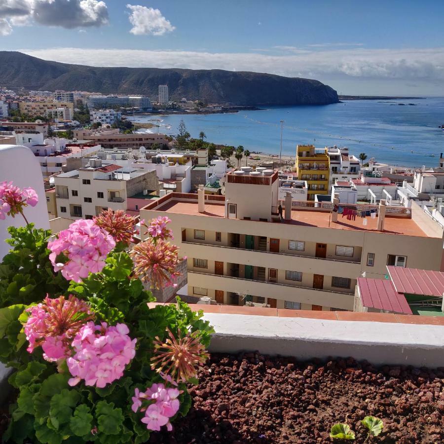 Cactus Los Cristianos Villa Los Cristianos  Dış mekan fotoğraf
